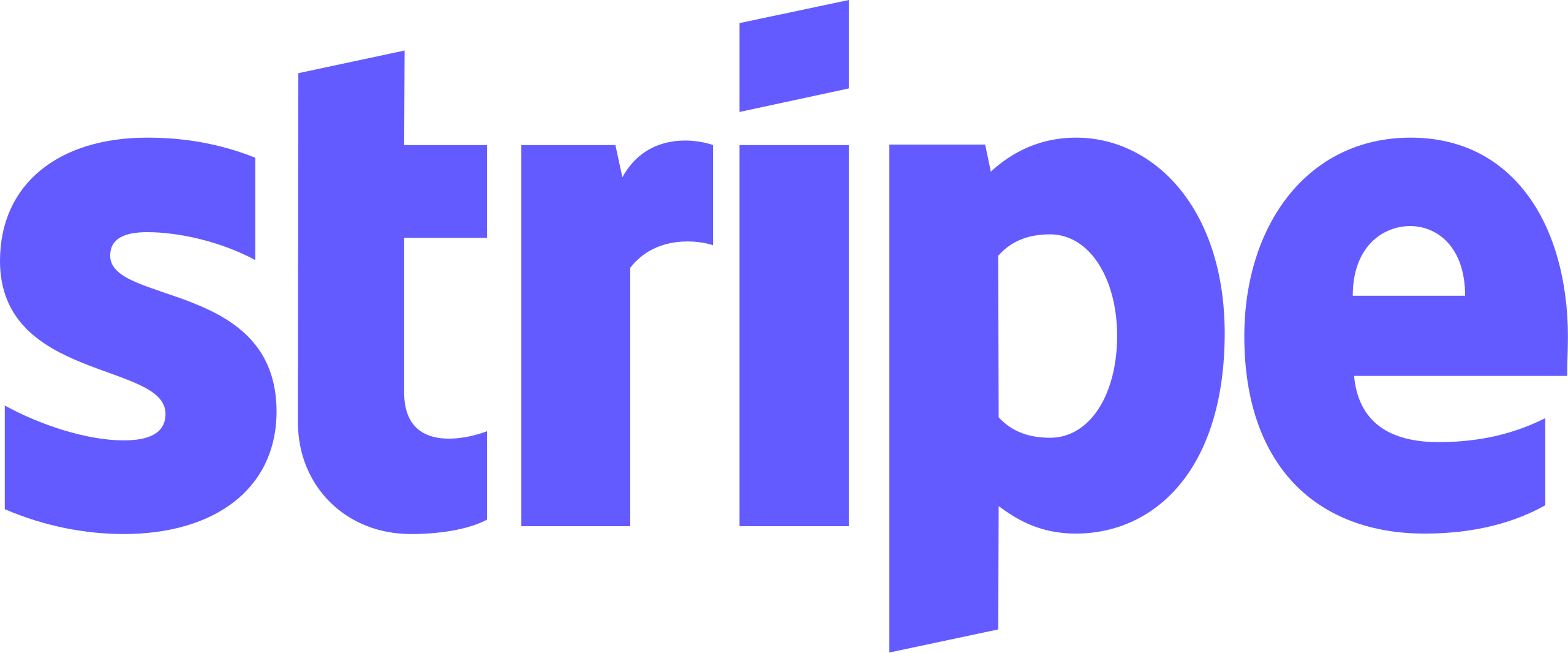 Stripe payment platform logo